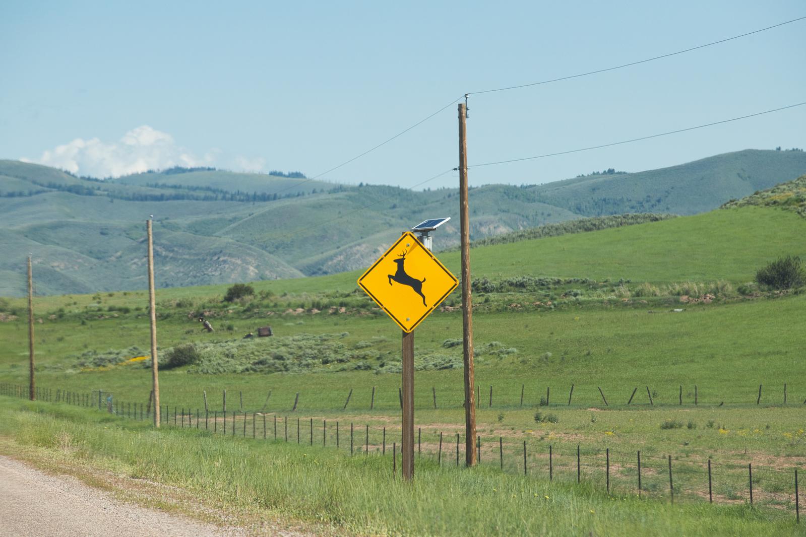 20代の看護師が転職で気を付けたい5つのポイント